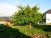 amenagements-exterieurs 1 (13)